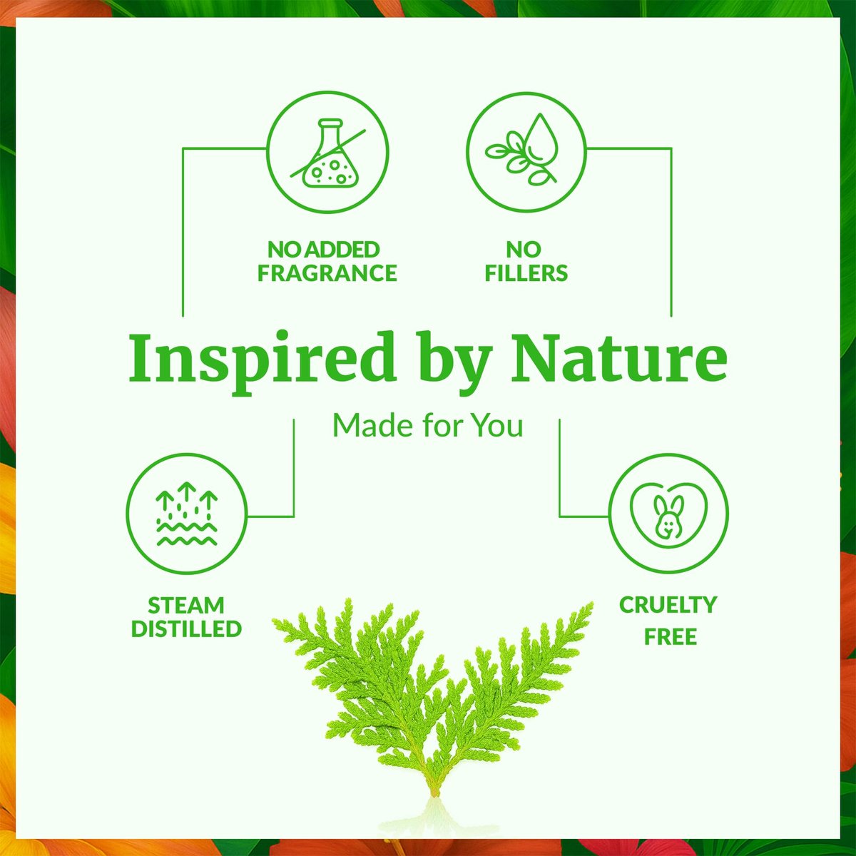 SVA Thuja Öl – 30 ml – 100% reines Thujaöl für Diffuser, Haarpflege, Gesicht, Hautpflege, Aromatherapie, Kopfhaut- und Körpermassage, Seifen- und Kerzenherstellung – mit Pipette