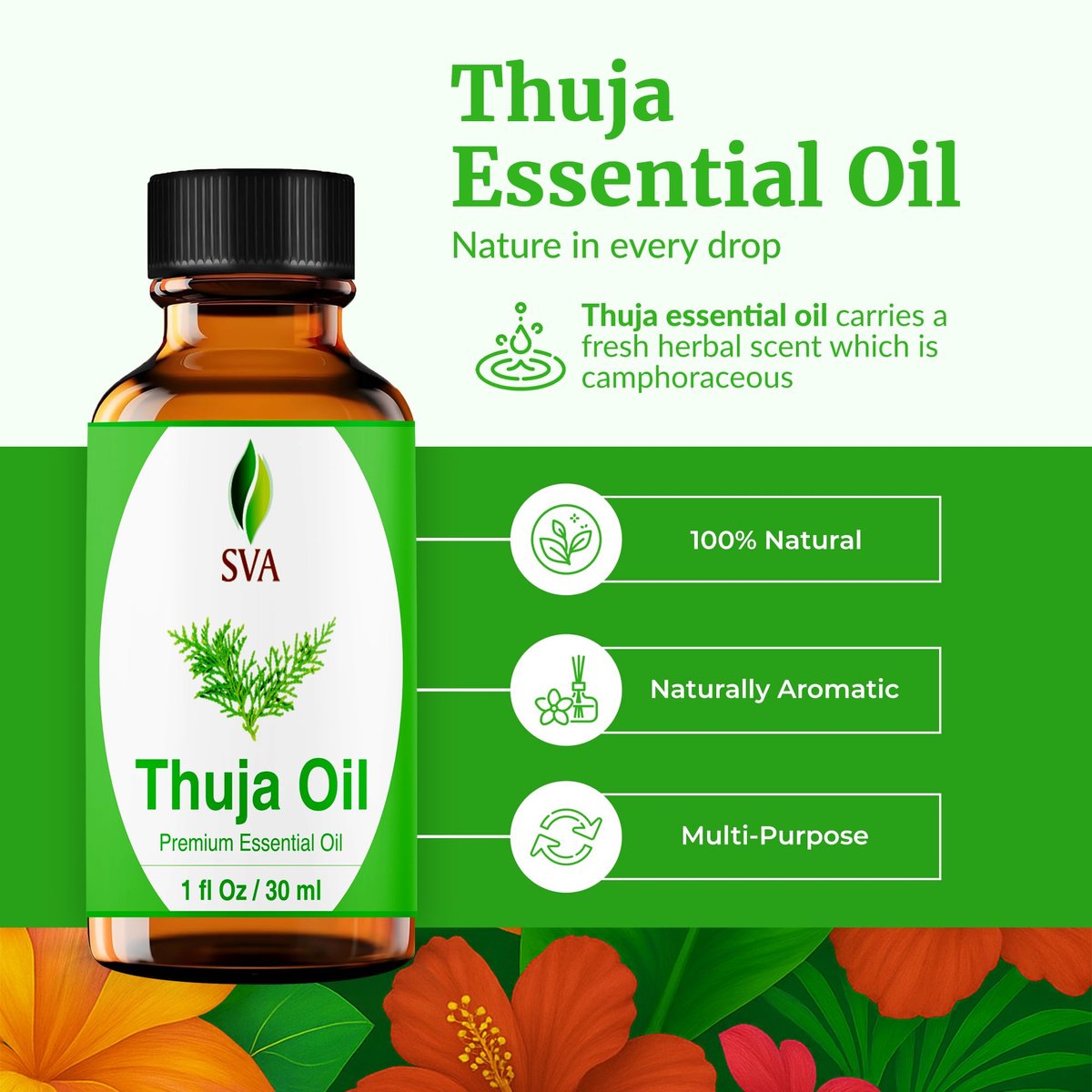 SVA Thuja Öl – 30 ml – 100% reines Thujaöl für Diffuser, Haarpflege, Gesicht, Hautpflege, Aromatherapie, Kopfhaut- und Körpermassage, Seifen- und Kerzenherstellung – mit Pipette