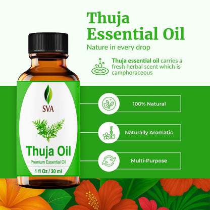 SVA Thuja Öl – 30 ml – 100% reines Thujaöl für Diffuser, Haarpflege, Gesicht, Hautpflege, Aromatherapie, Kopfhaut- und Körpermassage, Seifen- und Kerzenherstellung – mit Pipette
