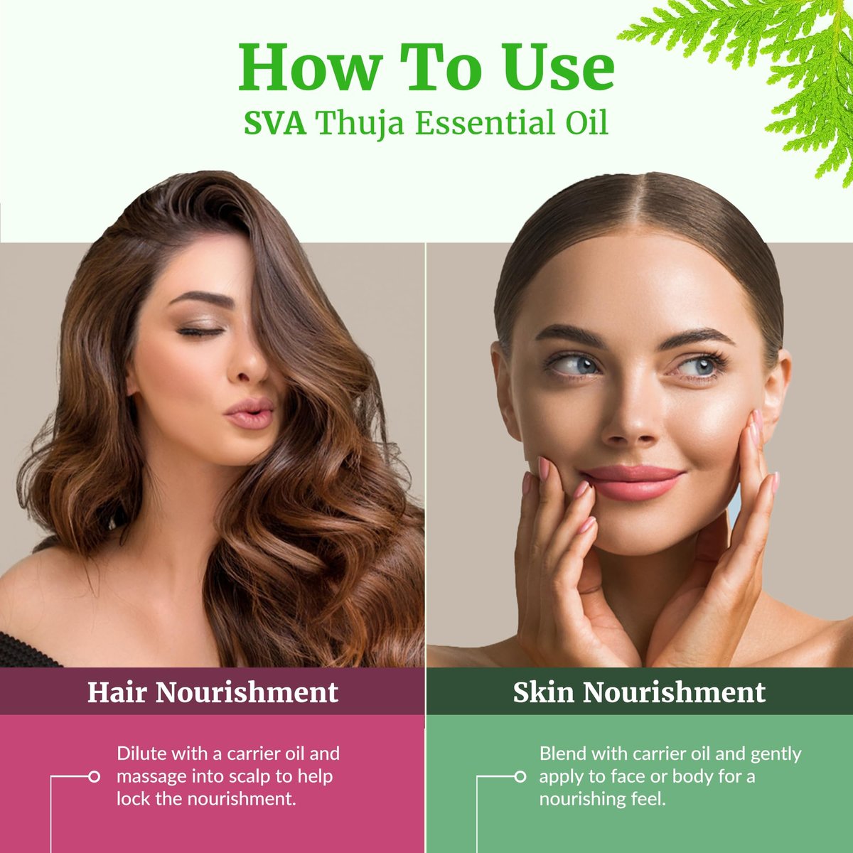 SVA Thuja Öl – 30 ml – 100% reines Thujaöl für Diffuser, Haarpflege, Gesicht, Hautpflege, Aromatherapie, Kopfhaut- und Körpermassage, Seifen- und Kerzenherstellung – mit Pipette