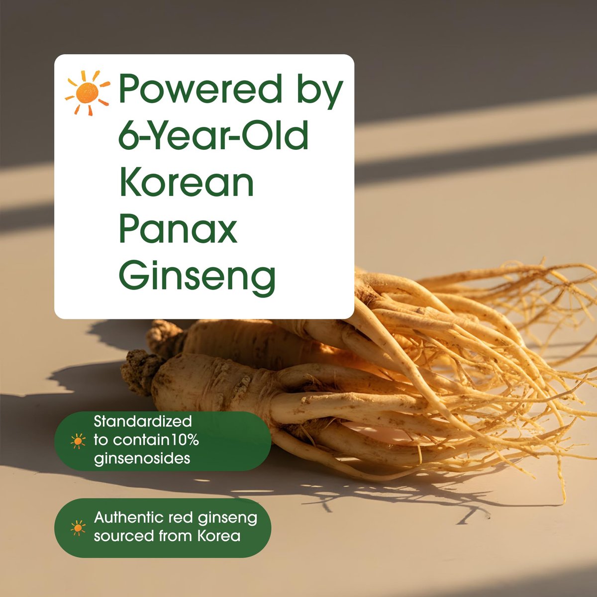NatureBell Panax Koreanischer Roter Ginseng – Langzeitvorrat mit 240 Softgels – 2.250 mg sechsjähriger roter Panax-Ginseng-Wurzelextrakt – Energie- und Immununterstützung* – standardisiert mit 10 % Ginsenosiden
