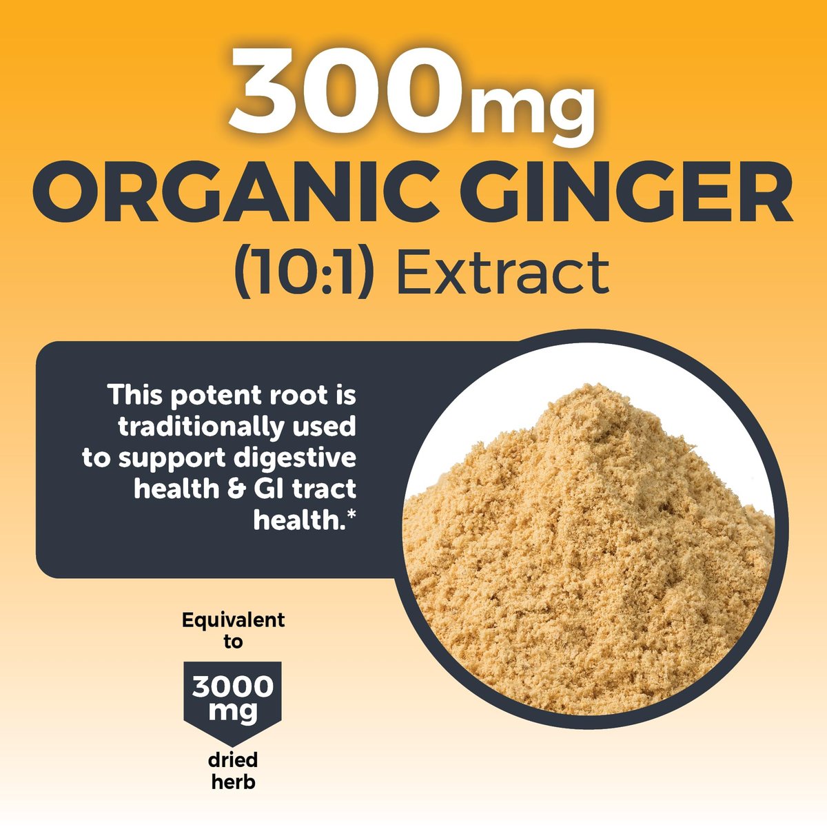 Viva Naturals Kurkuma & Ingwer Kapseln mit Schwarzem Pfeffer für bessere Absorption – Bio Kurkuma Curcumin für Gelenk-, Herz- und Verdauungsgesundheit, Non-GMO – 120 Tabletten