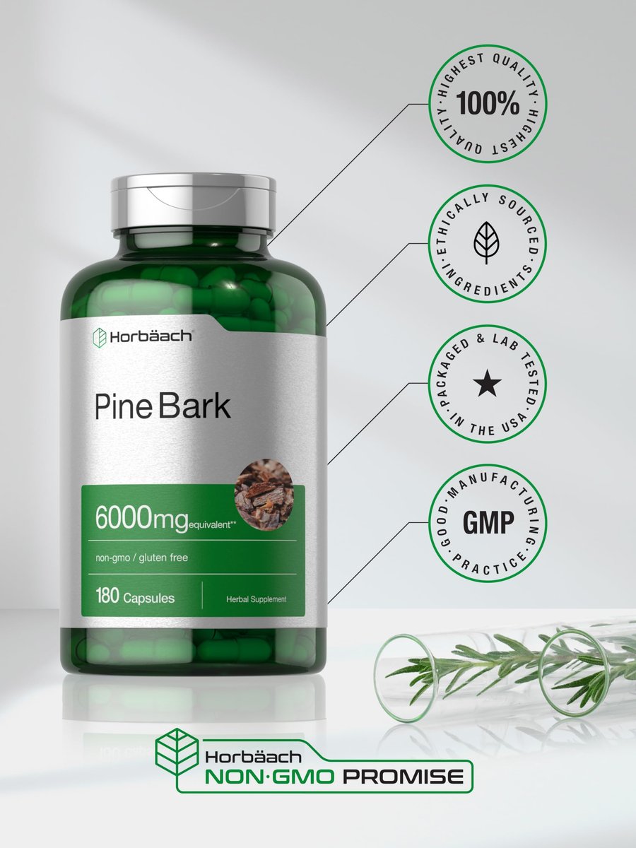 Horbäach Kiefernrindenextrakt | 180 Kapseln | Standardisiert auf 75 % Proanthocyanidine | Nicht-GVO, glutenfrei | Hochdosiert