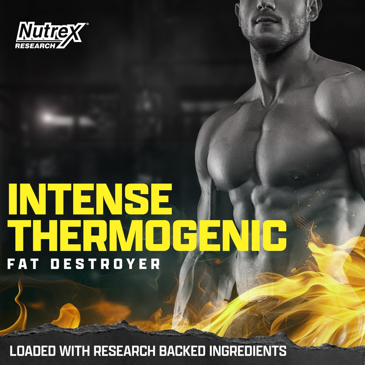 Nutrex Research Lipo6 Black Intense Ultra Concentrate – Thermogener Fettverbrenner für Männer und Frauen | Diät-Gewichtsverlust & Appetitzügler | 60 Kapseln