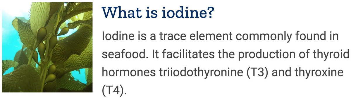 Life Extension Sea-Iodine Kapseln, 1000 mcg, 150 vegane Kapseln, natürliches Jodpräparat aus Kelp und Blasentang