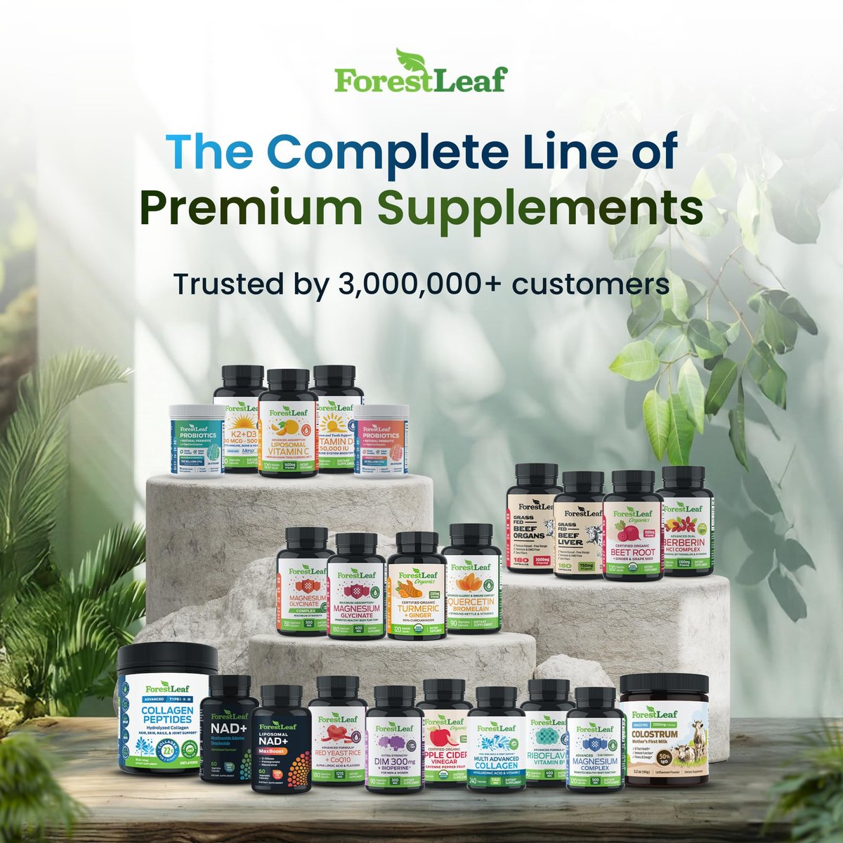 ForestLeaf Hyaluronsäure Kapseln | 100mg hoch bioverfügbares Hyaluron + 50mg Vitamin C | Für Hautfeuchtigkeit, Gelenkschmierung, Anti-Aging, Haare & Nägel | 120 Kapseln