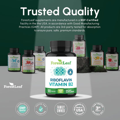 ForestLeaf Vitamin B2 Riboflavin 400mg – Energie, Haut & Zellgesundheit – Unterstützt das Nervensystem – Nicht-GVO & Glutenfrei – 90 Kapseln