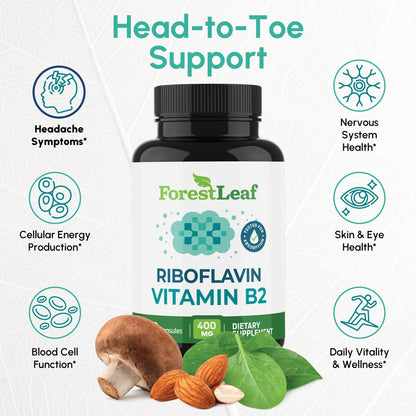 ForestLeaf Vitamin B2 Riboflavin 400mg – Energie, Haut & Zellgesundheit – Unterstützt das Nervensystem – Nicht-GVO & Glutenfrei – 90 Kapseln