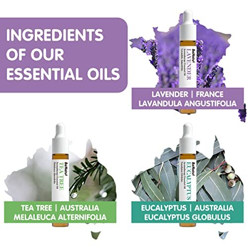 Benatu Ätherische Öle Set (Teebaum, Lavendel, Eukalyptus) für Zuhause – Bio-Entspannungsduft, Aromatherapie-Geschenk für Frauen und Männer, natürlicher Duft für Hautpflege, Körper-Massage, Diffuser 3er-Pack