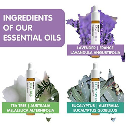 Benatu Ätherische Öle Set (Teebaum, Lavendel, Eukalyptus) für Zuhause – Bio-Entspannungsduft, Aromatherapie-Geschenk für Frauen und Männer, natürlicher Duft für Hautpflege, Körper-Massage, Diffuser 3er-Pack