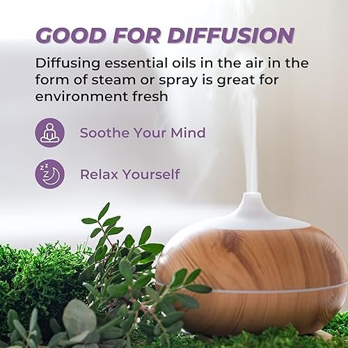 Benatu Ätherische Öle Set (Teebaum, Lavendel, Eukalyptus) für Zuhause – Bio-Entspannungsduft, Aromatherapie-Geschenk für Frauen und Männer, natürlicher Duft für Hautpflege, Körper-Massage, Diffuser 3er-Pack