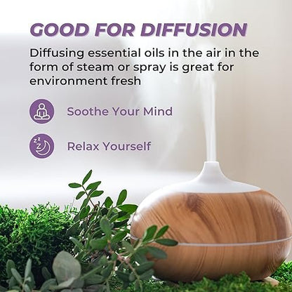 Benatu Ätherische Öle Set (Teebaum, Lavendel, Eukalyptus) für Zuhause – Bio-Entspannungsduft, Aromatherapie-Geschenk für Frauen und Männer, natürlicher Duft für Hautpflege, Körper-Massage, Diffuser 3er-Pack