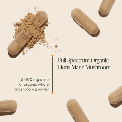 Om Lion’s Mane Pilzkapseln - Bio Pilz Nahrungsergänzungsmittel und Nootropikum - Gedächtnis- und Konzentrationshilfe, 90 Kapseln (30 Portionen)