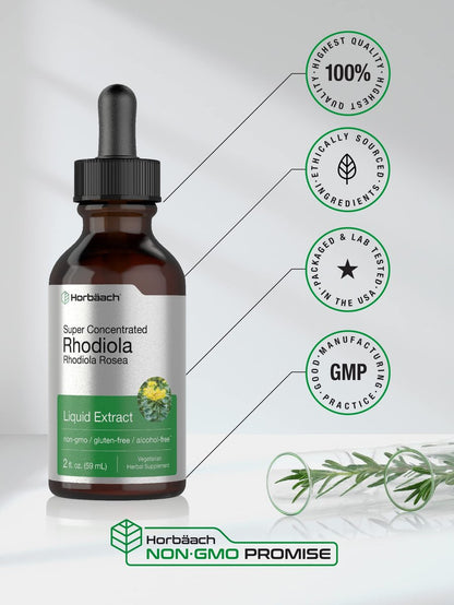 Horbäach Rhodiola Rosea Tinktur | 60 ml | Alkoholfreier Extrakt | Hochkonzentrierter Wurzel-Liquid | Vegan, Nicht-GVO, Glutenfrei