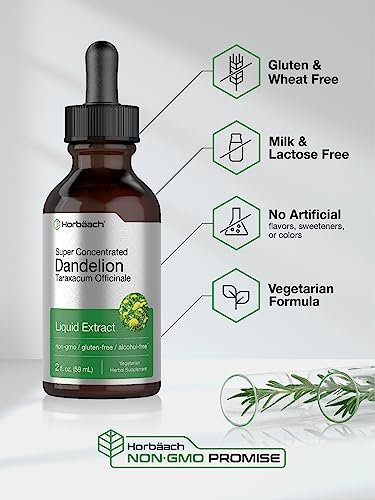 Horbäach Löwenzahnwurzel-Extrakt Nahrungsergänzungsmittel | 60 ml | Hochkonzentriert | Alkoholfreie Flüssigtinktur | Vegetarisch, Nicht-GVO, Glutenfrei