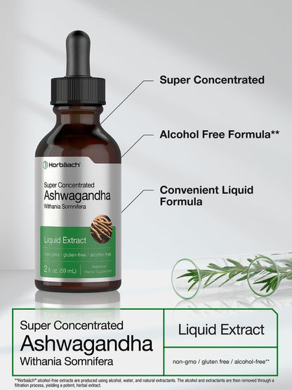Horbäach Ashwagandha Liquid Drops 2 Fl Oz – Alkoholfreies Tinktur-Wurzelextrakt – Nahrungsergänzungsmittel für Frauen und Männer – Mit Withania Somnifera – Vegetarisch, Nicht-GVO, Glutenfrei