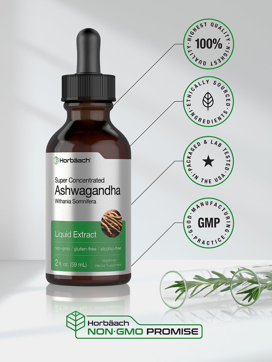 Horbäach Ashwagandha Liquid Drops 2 Fl Oz – Alkoholfreies Tinktur-Wurzelextrakt – Nahrungsergänzungsmittel für Frauen und Männer – Mit Withania Somnifera – Vegetarisch, Nicht-GVO, Glutenfrei