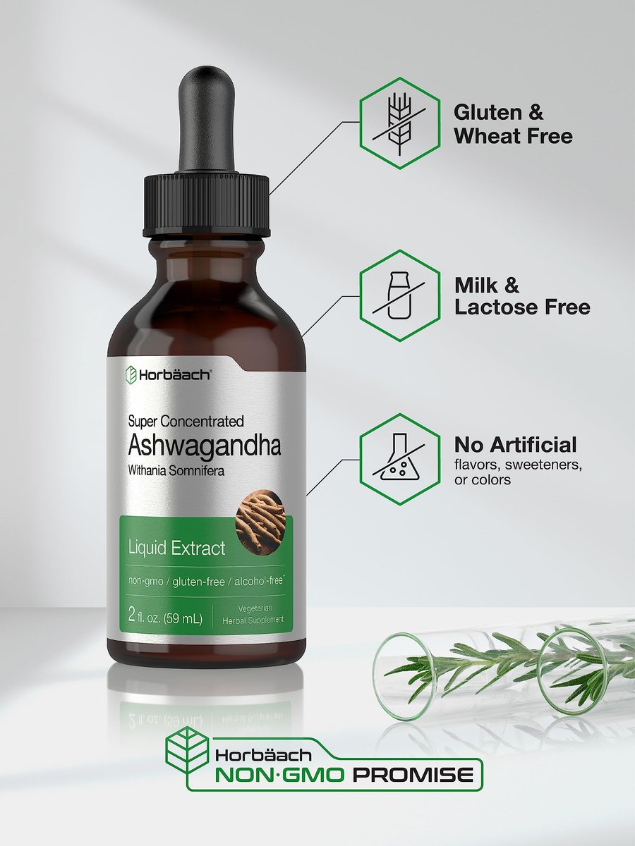 Horbäach Ashwagandha Liquid Drops 2 Fl Oz – Alkoholfreies Tinktur-Wurzelextrakt – Nahrungsergänzungsmittel für Frauen und Männer – Mit Withania Somnifera – Vegetarisch, Nicht-GVO, Glutenfrei