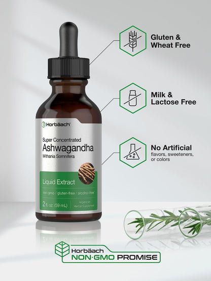 Horbäach Ashwagandha Liquid Drops 2 Fl Oz – Alkoholfreies Tinktur-Wurzelextrakt – Nahrungsergänzungsmittel für Frauen und Männer – Mit Withania Somnifera – Vegetarisch, Nicht-GVO, Glutenfrei