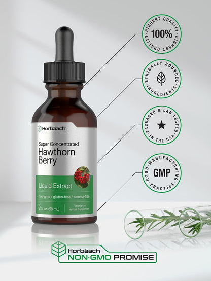 Horbäach Weißdornbeeren-Extrakt | 60 ml | Alkoholfreie Flüssigtinktur | Vegetarisches Nahrungsergänzungsmittel, Non-GMO, Glutenfrei