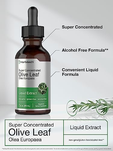 Horbäach Olivenblattextrakt flüssig | 60 ml | Hochdosiert | Alkoholfrei, vegan, ohne Gentechnik, glutenfrei