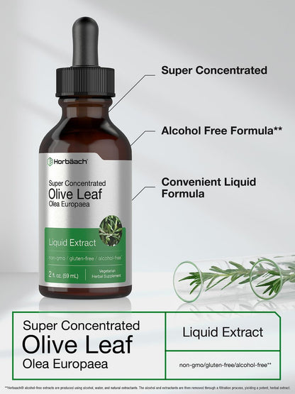 Horbäach Olivenblattextrakt flüssig | 60 ml | Hochdosiert | Alkoholfrei, vegan, ohne Gentechnik, glutenfrei