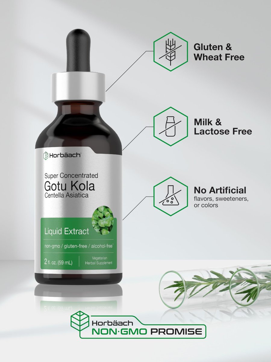 Horbäach Gotu Kola Extrakt | 60 ml | Alkoholfrei | Hochkonzentriertes flüssiges Kräuterergänzungsmittel | Vegetarisch, Nicht-GVO, Glutenfrei