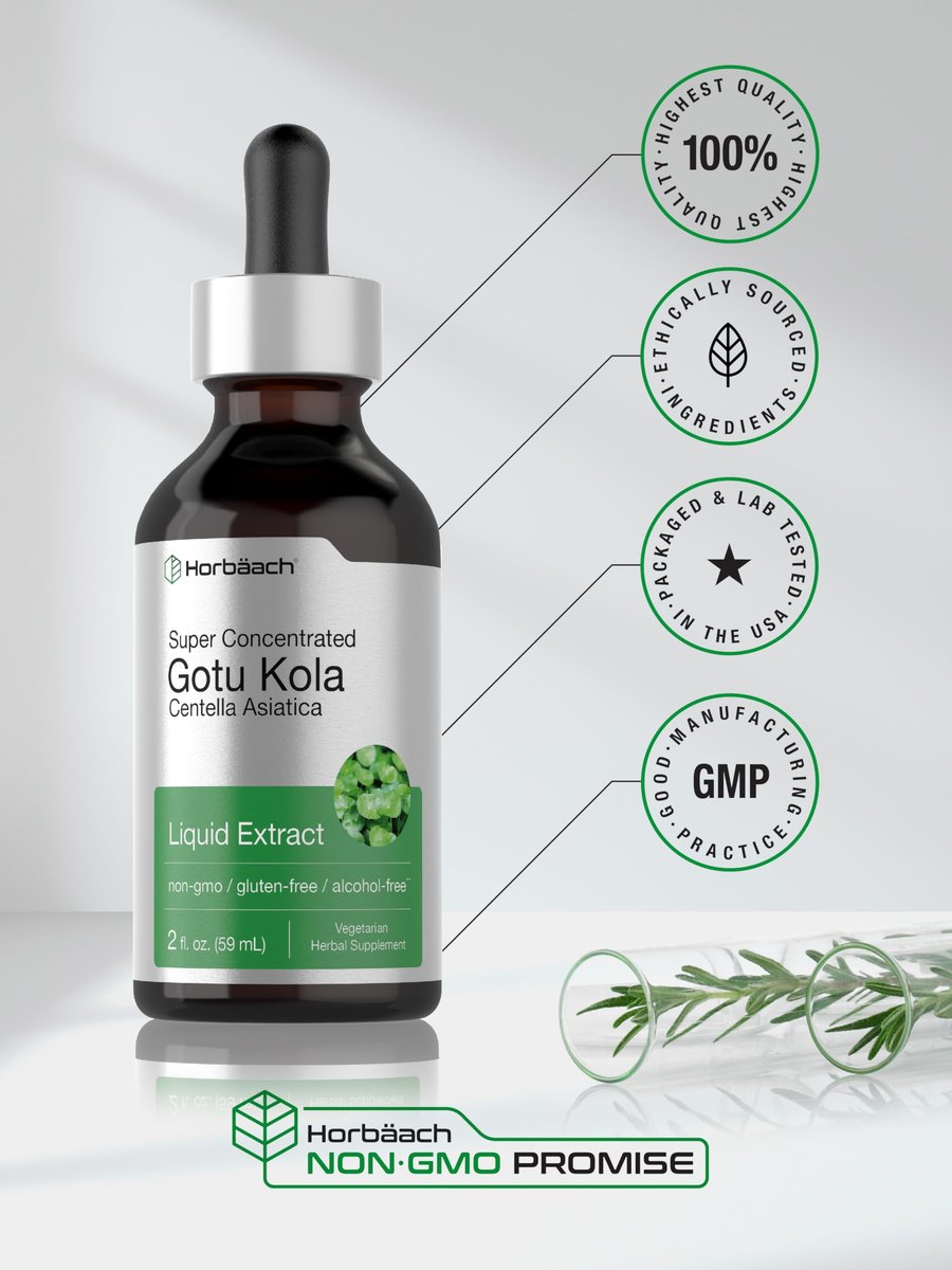 Horbäach Gotu Kola Extrakt | 60 ml | Alkoholfrei | Hochkonzentriertes flüssiges Kräuterergänzungsmittel | Vegetarisch, Nicht-GVO, Glutenfrei