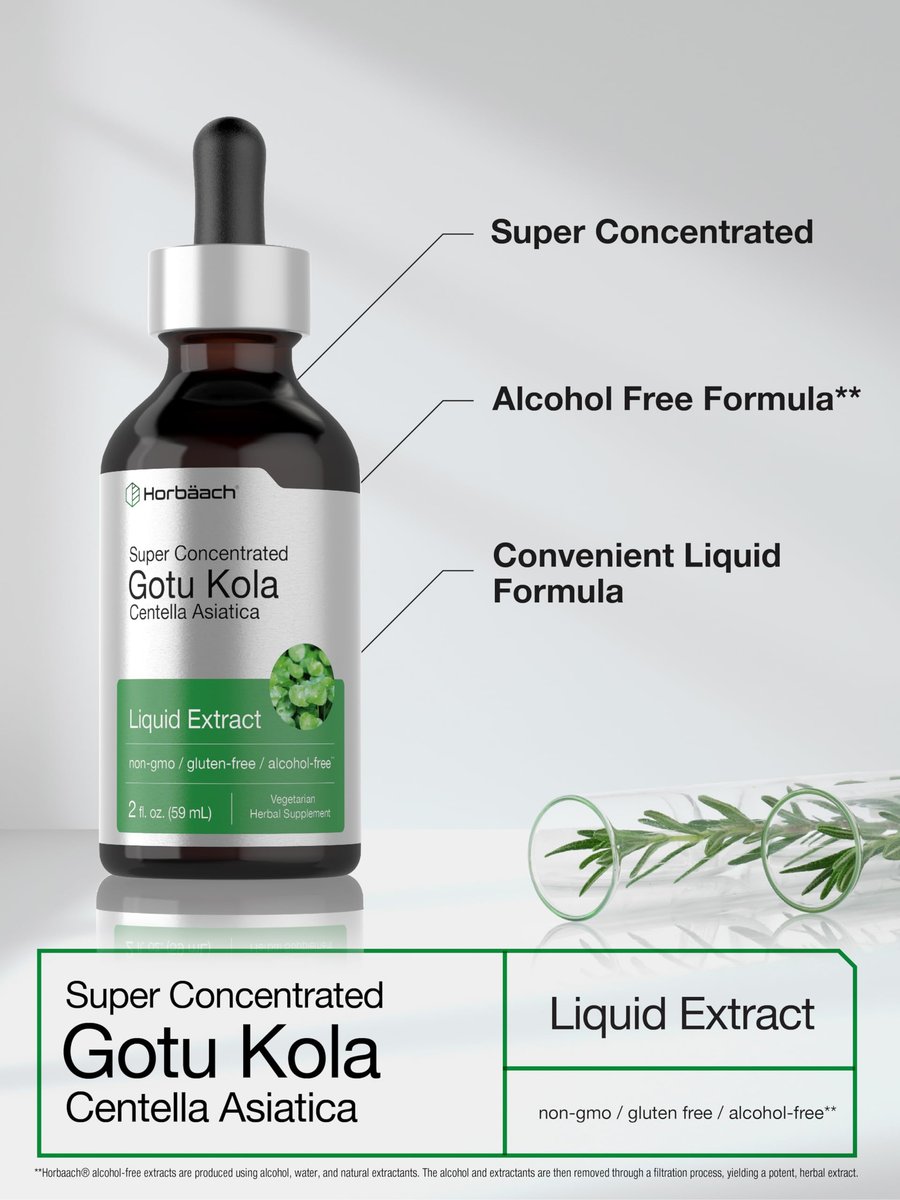 Horbäach Gotu Kola Extrakt | 60 ml | Alkoholfrei | Hochkonzentriertes flüssiges Kräuterergänzungsmittel | Vegetarisch, Nicht-GVO, Glutenfrei