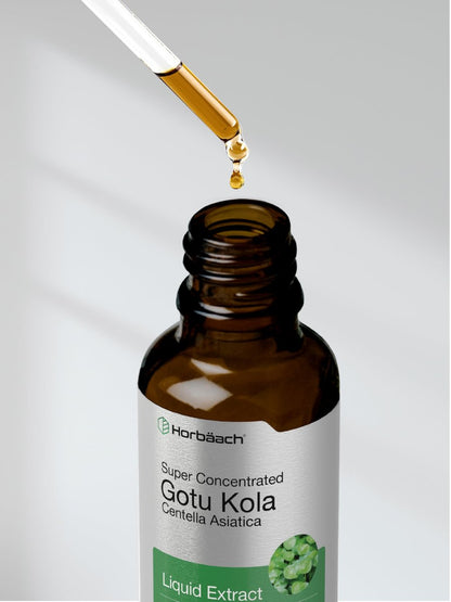 Horbäach Gotu Kola Extrakt | 60 ml | Alkoholfrei | Hochkonzentriertes flüssiges Kräuterergänzungsmittel | Vegetarisch, Nicht-GVO, Glutenfrei