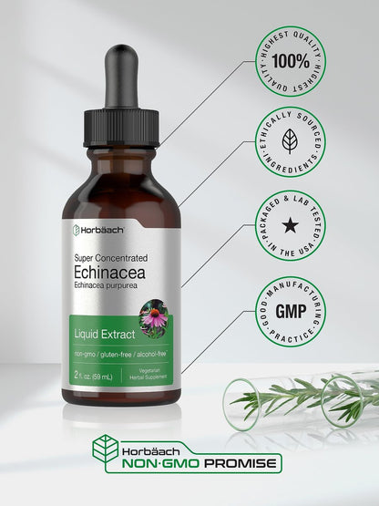 Horbaach Echinacea Tropfen Kräutertinktur | 60 ml | Hochkonzentrierter Wurzelextrakt | Alkoholfreie Flüssigkeit | Vegetarisch, Nicht-GVO & Glutenfrei