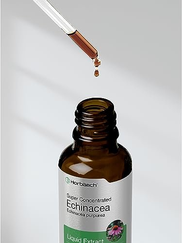Horbaach Echinacea Tropfen Kräutertinktur | 60 ml | Hochkonzentrierter Wurzelextrakt | Alkoholfreie Flüssigkeit | Vegetarisch, Nicht-GVO & Glutenfrei