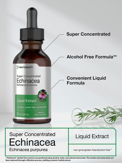 Horbaach Echinacea Tropfen Kräutertinktur | 60 ml | Hochkonzentrierter Wurzelextrakt | Alkoholfreie Flüssigkeit | Vegetarisch, Nicht-GVO & Glutenfrei