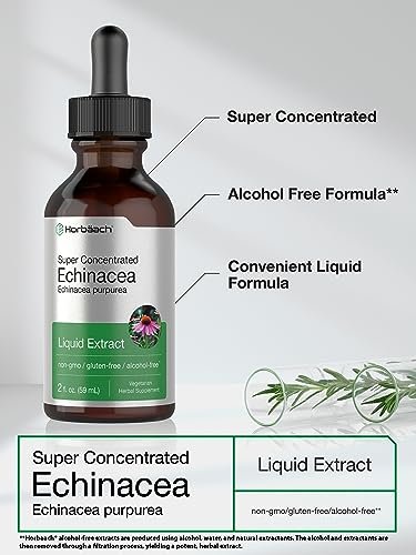 Horbaach Echinacea Tropfen Kräutertinktur | 60 ml | Hochkonzentrierter Wurzelextrakt | Alkoholfreie Flüssigkeit | Vegetarisch, Nicht-GVO & Glutenfrei
