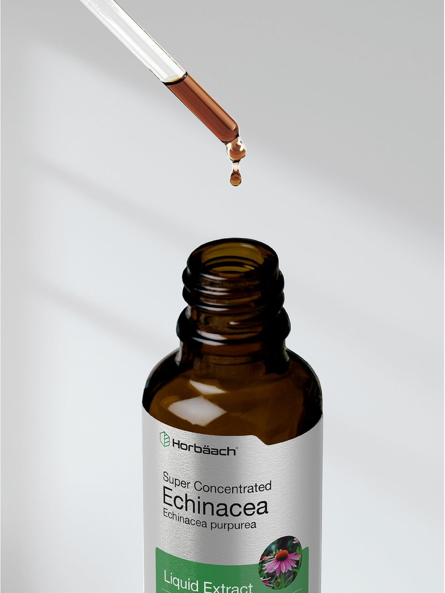 Horbaach Echinacea Tropfen Kräutertinktur | 60 ml | Hochkonzentrierter Wurzelextrakt | Alkoholfreie Flüssigkeit | Vegetarisch, Nicht-GVO & Glutenfrei