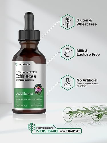 Horbaach Echinacea Tropfen Kräutertinktur | 60 ml | Hochkonzentrierter Wurzelextrakt | Alkoholfreie Flüssigkeit | Vegetarisch, Nicht-GVO & Glutenfrei