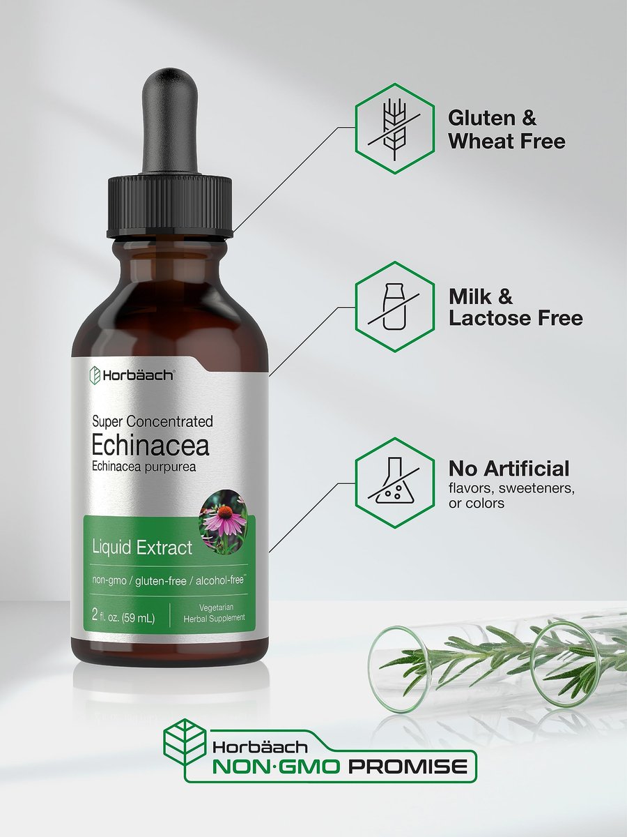 Horbaach Echinacea Tropfen Kräutertinktur | 60 ml | Hochkonzentrierter Wurzelextrakt | Alkoholfreie Flüssigkeit | Vegetarisch, Nicht-GVO & Glutenfrei