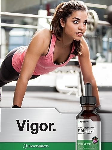 Horbaach Echinacea Tropfen Kräutertinktur | 60 ml | Hochkonzentrierter Wurzelextrakt | Alkoholfreie Flüssigkeit | Vegetarisch, Nicht-GVO & Glutenfrei