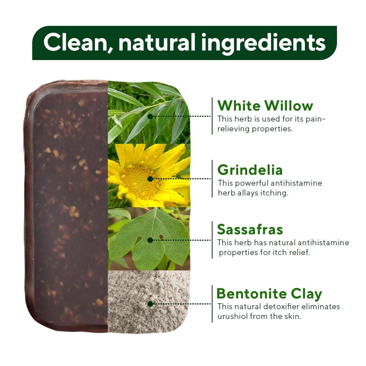 Marie's Original Poison Ivy Seife Bar | Natürliche Behandlung gegen Giftefeu | Anti-Juckreiz Reinigungsseife für Giftefeu, Gifteiche & Gift-Sumach | Entfernt Öle, Beruhigt & Lindert Hautausschläge | 82 g