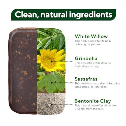 Marie's Original Poison Ivy Seife Bar | Natürliche Behandlung gegen Giftefeu | Anti-Juckreiz Reinigungsseife für Giftefeu, Gifteiche & Gift-Sumach | Entfernt Öle, Beruhigt & Lindert Hautausschläge | 82 g