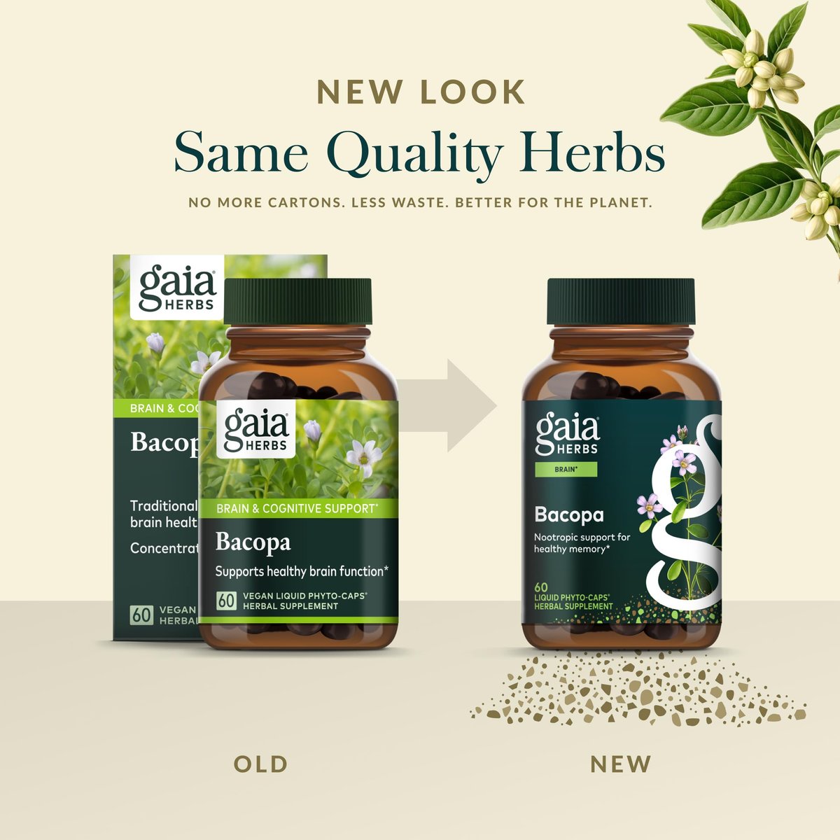 Gaia Herbs Bacopa - Kognitive Unterstützung & Gehirngesundheit - Mit Bacopa Monnieri für einen klaren Geist - 60 vegane Liquid-Phyto-Kapseln