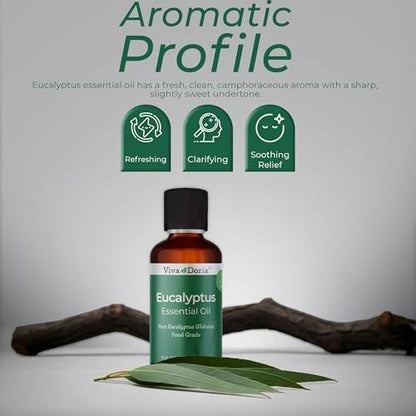 Viva Doria Eukalyptus ätherisches Öl, 100% rein, natürlich, unverdünnt, für Aromatherapie | Lebensmittelqualität, 30 ml (1 Fl Oz)