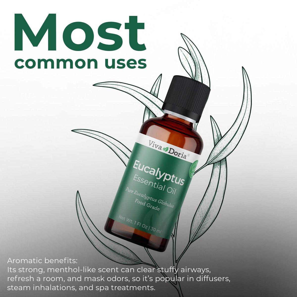 Viva Doria Eukalyptus ätherisches Öl, 100% rein, natürlich, unverdünnt, für Aromatherapie | Lebensmittelqualität, 30 ml (1 Fl Oz)
