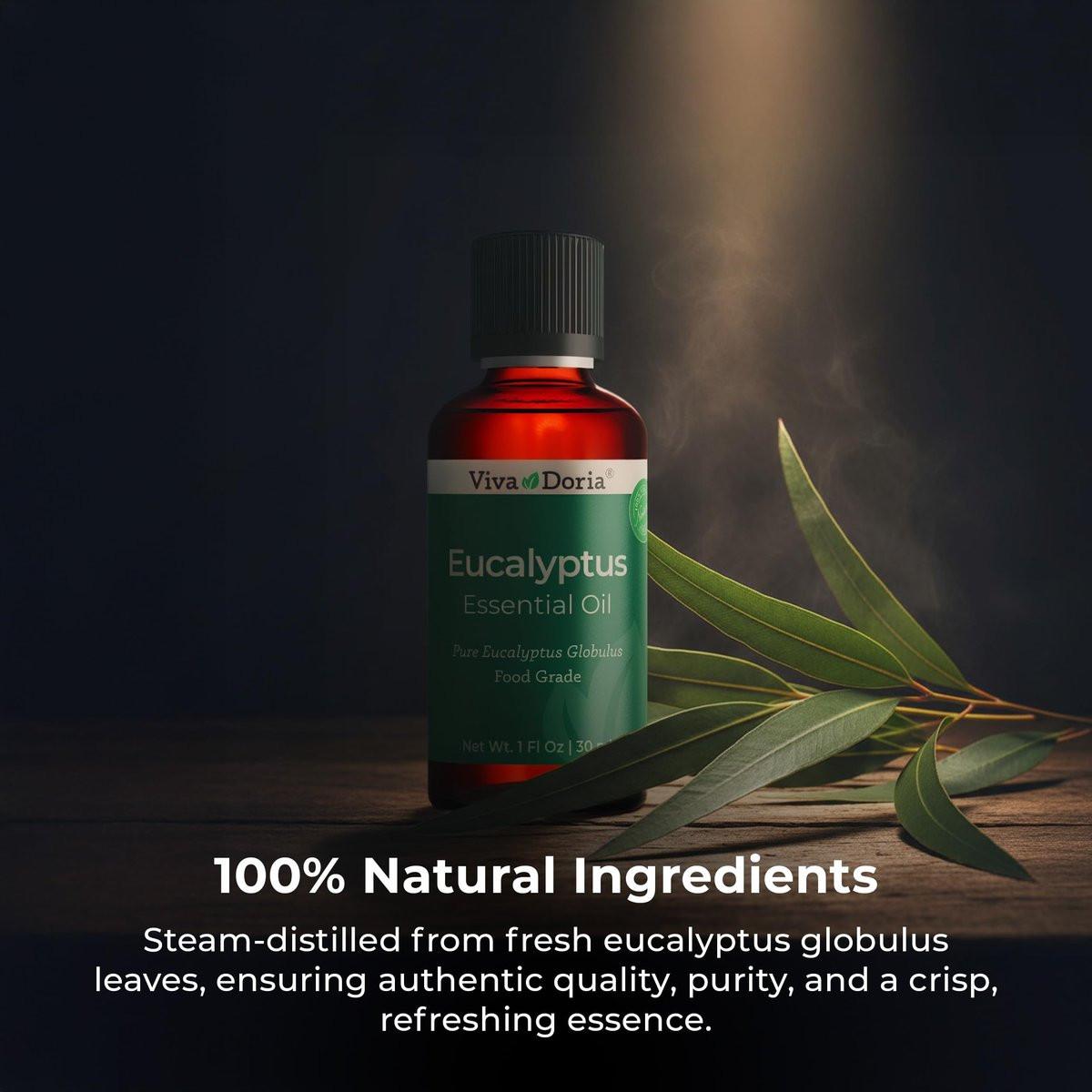 Viva Doria Eukalyptus ätherisches Öl, 100% rein, natürlich, unverdünnt, für Aromatherapie | Lebensmittelqualität, 30 ml (1 Fl Oz)