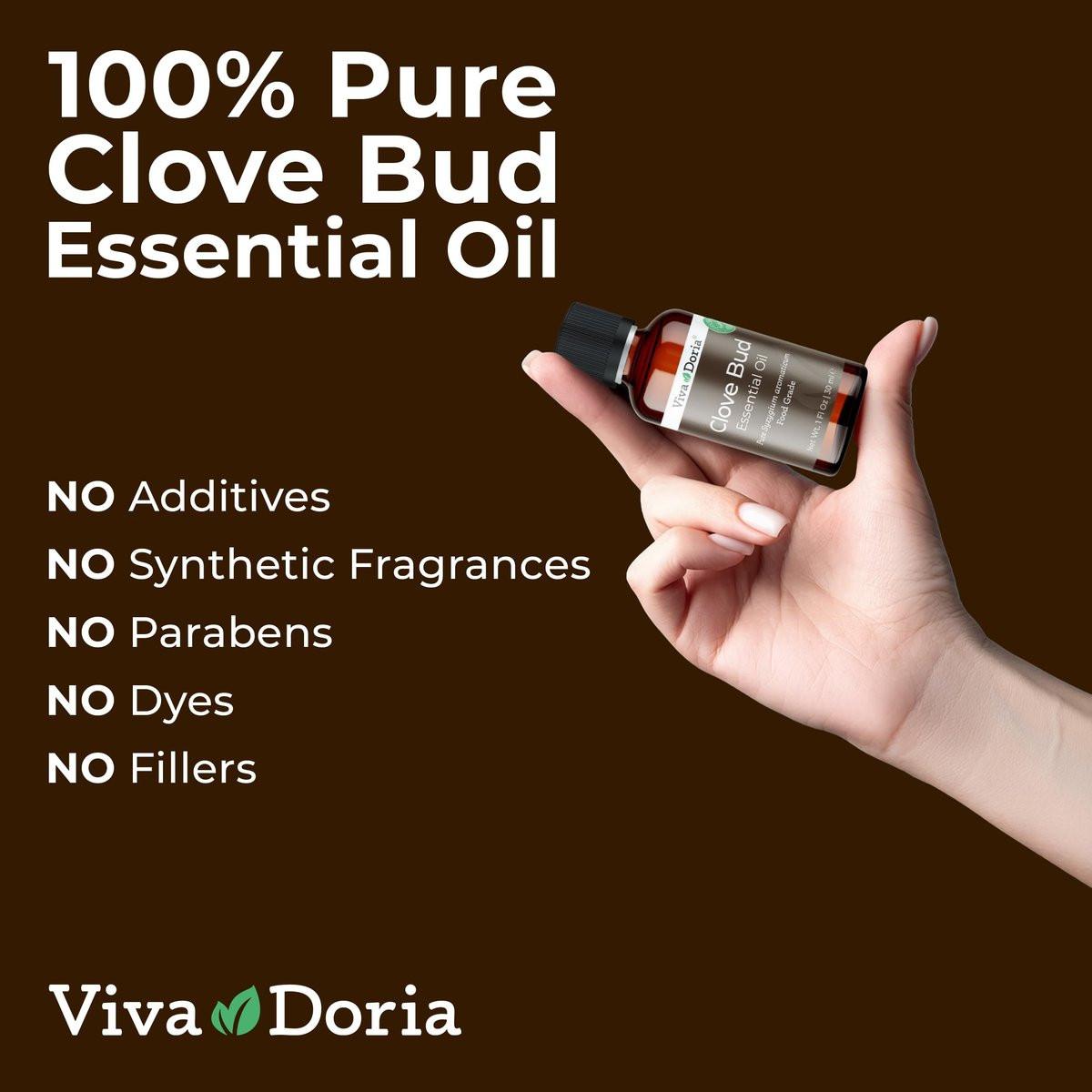 Viva Doria 100 % reines Nelkenknospen-Öl, unverdünnt, Lebensmittelqualität, 30 ml
