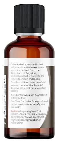 Viva Doria 100 % reines Nelkenknospen-Öl, unverdünnt, Lebensmittelqualität, 30 ml