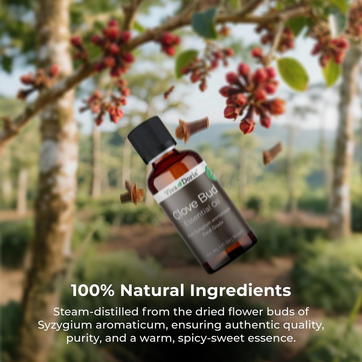 Viva Doria 100 % reines Nelkenknospen-Öl, unverdünnt, Lebensmittelqualität, 30 ml