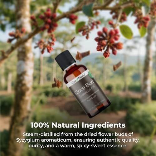 Viva Doria 100 % reines Nelkenknospen-Öl, unverdünnt, Lebensmittelqualität, 30 ml