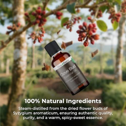 Viva Doria 100 % reines Nelkenknospen-Öl, unverdünnt, Lebensmittelqualität, 30 ml