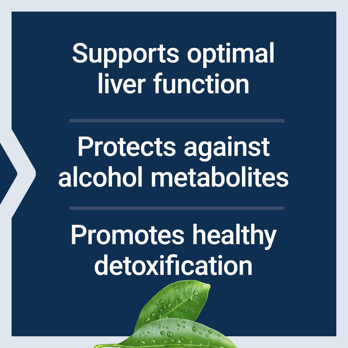 Life Extension Anti-Alcohol Complex – Vitamin C, Zink, Traubenkern, Mariendistel, Nelkenextrakt – Unterstützt gesunden Alkoholstoffwechsel & optimale Leberfunktion – Glutenfrei, Nicht-GVO, 60 Kapseln